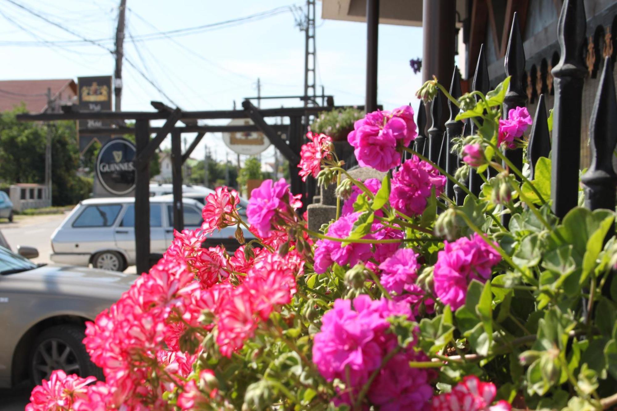 Hotel Lacetate Pitesti Exterior photo