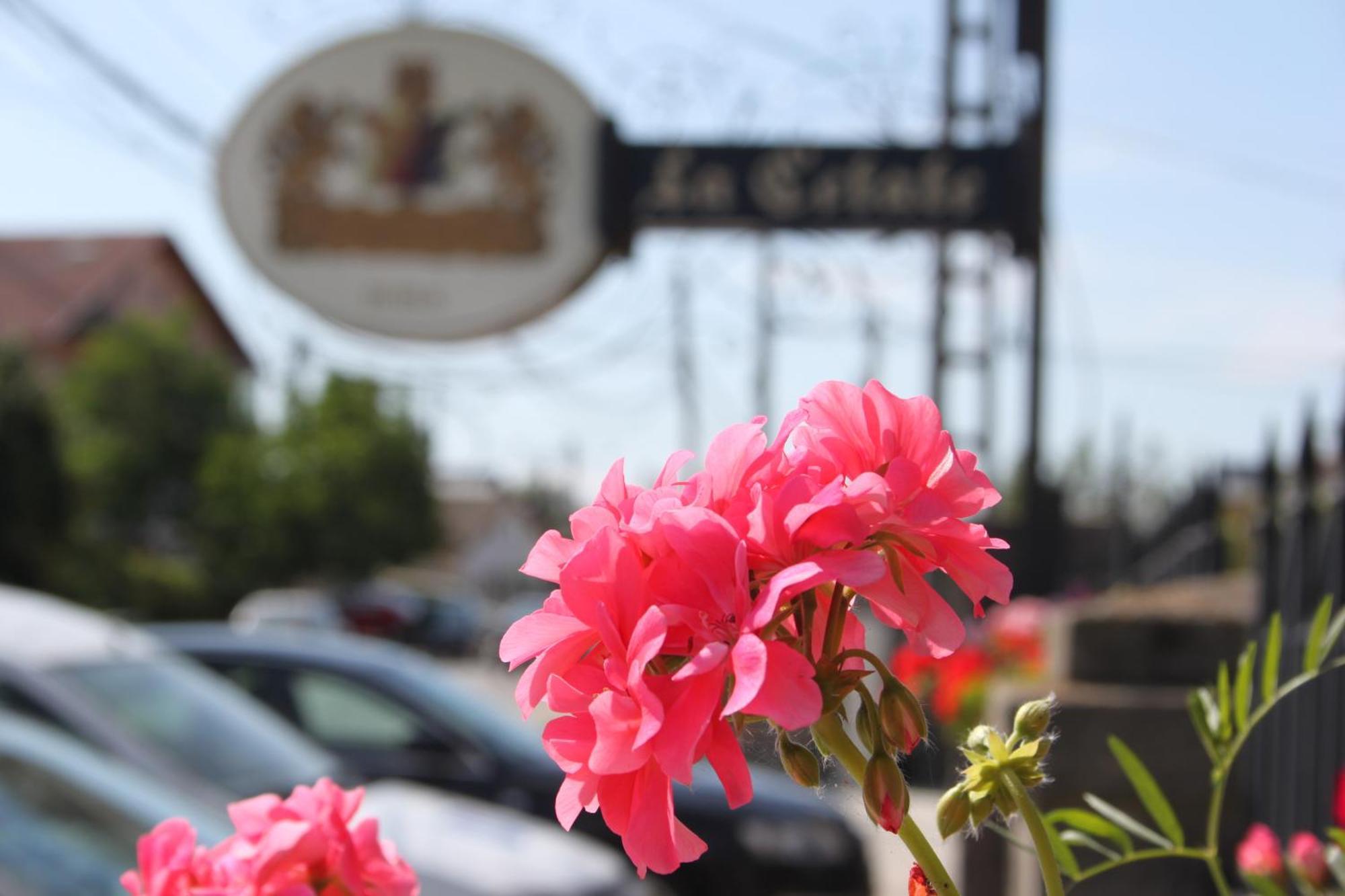 Hotel Lacetate Pitesti Exterior photo