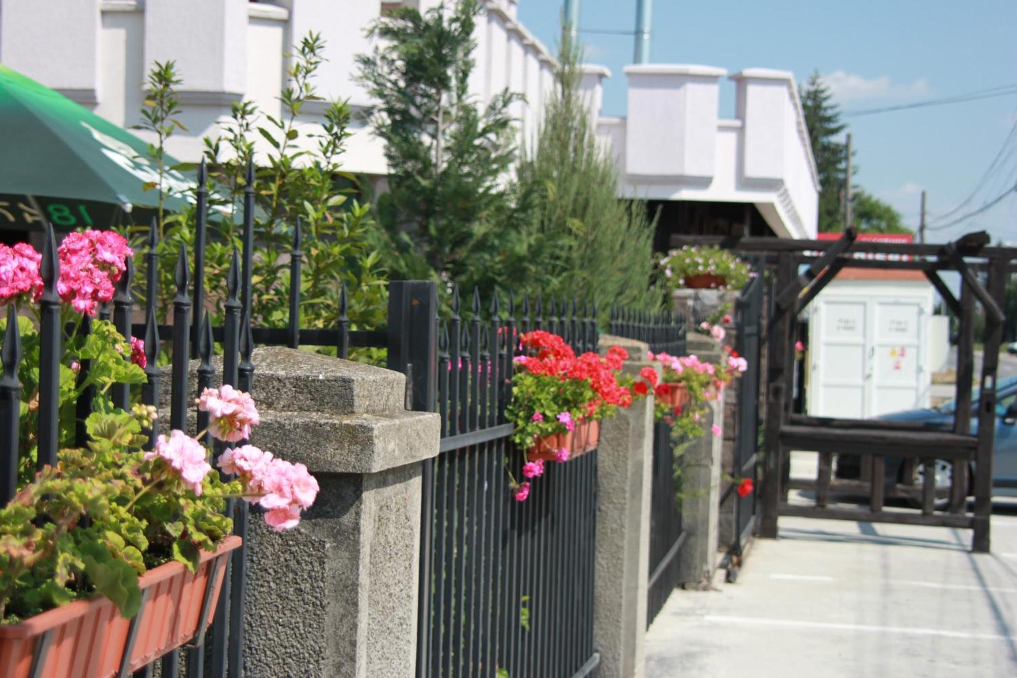 Hotel Lacetate Pitesti Exterior photo